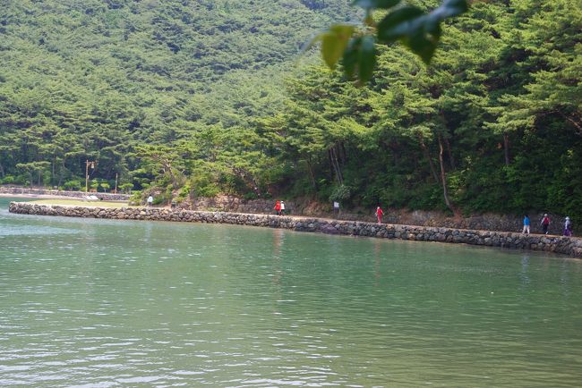 なんともいえない静かな参道。<br /><br />ゆっくり歩きたいところです。<br /><br />もっともっと時間が欲しかった。