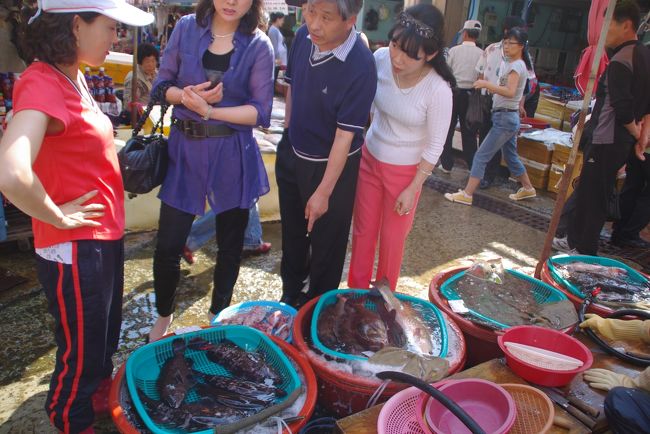 彼女たちの旅行目的の１つである、中央市場での買出しに付いていきました。<br /><br />ツレが値段交渉をしています。