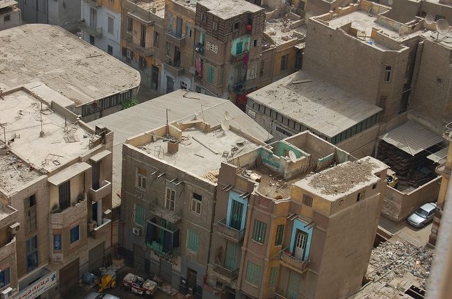 ホテルの部屋からはナイル川が見えたのですが、違う方向を見ると屋上でヤギ？を買うおうちが見えました。