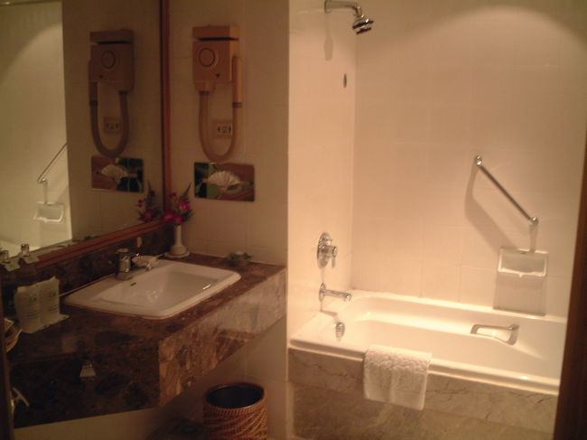 バスルームもこんな感じできれいです。