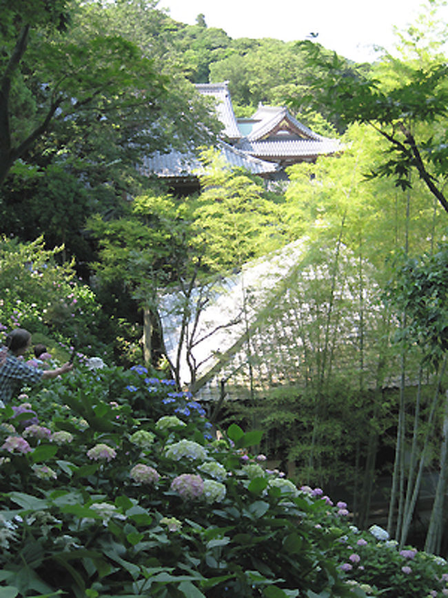 経蔵の裏側です。