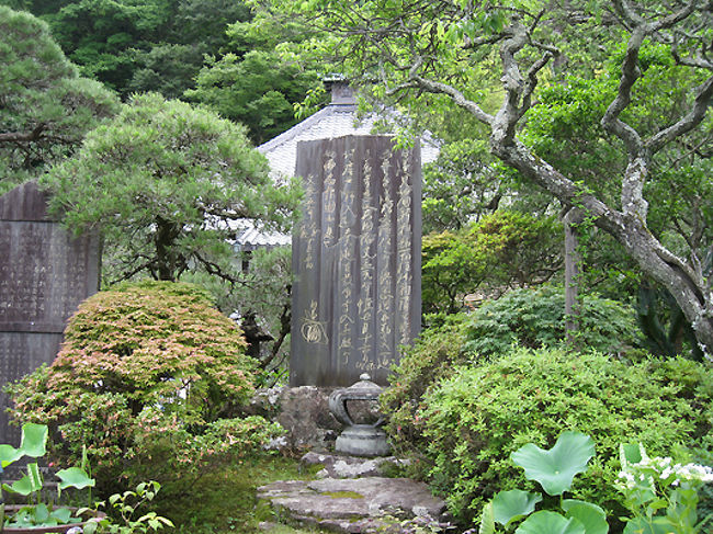 今回はウォーキング目的で長谷寺にきましたが、思っていた以上のアジサイの美しさに得をした気分です。<br />まだまだアジサイの見頃は続くと思いますので、機会があればぜひ足を運んでみてください。