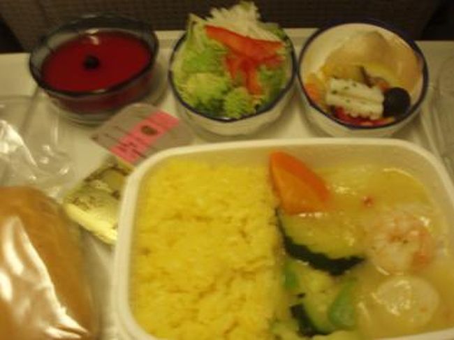 しばらくして、機内食が出てきました〜♪<br />私が頼んだのは、シチュー？みたいなのとライス。<br />味はビミョー・・・