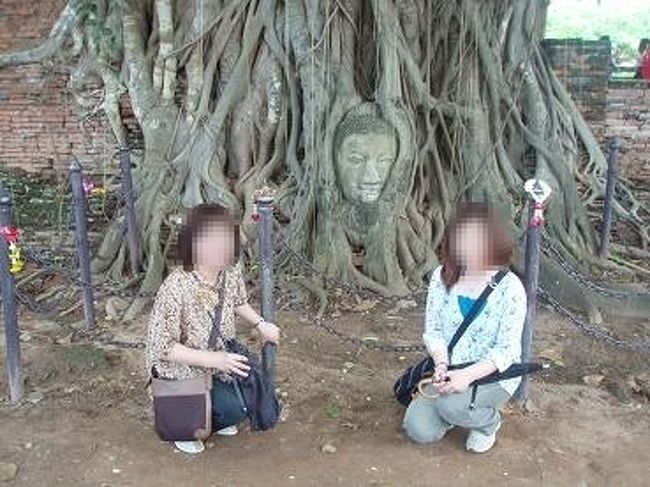 【嘆きの仏頭】<br />切り落とされた仏頭がその後の長い歳月のうちに<br />菩提樹の幹に取り込まれながらも、<br />今も変わらぬ慈悲の表情をたたえています。<br /><br />記念撮影する時は、仏頭より低い位置で座らなければなりません。