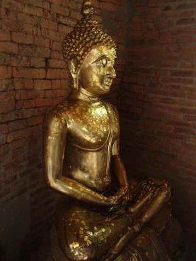 金箔を仏像の好きな所に貼り付けると、<br />体が良くなるとかで、あちこち貼り付けました〜<br />御利益あるかも！