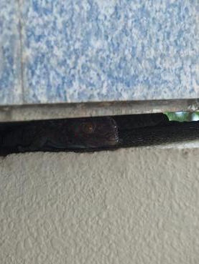 トカゲの正面から<br />暗くて見えにくいですね・・・(^_^;)