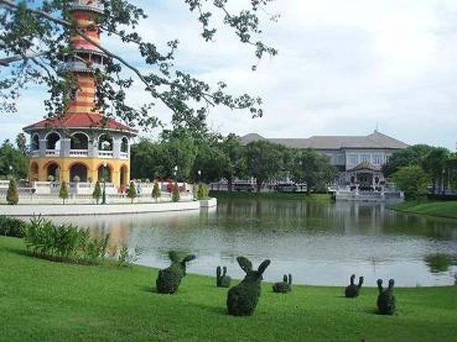 ウサギの形に剪定された植木が！<br />可愛い〜(*^-^*)