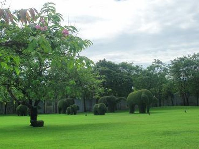 象も可愛い〜☆