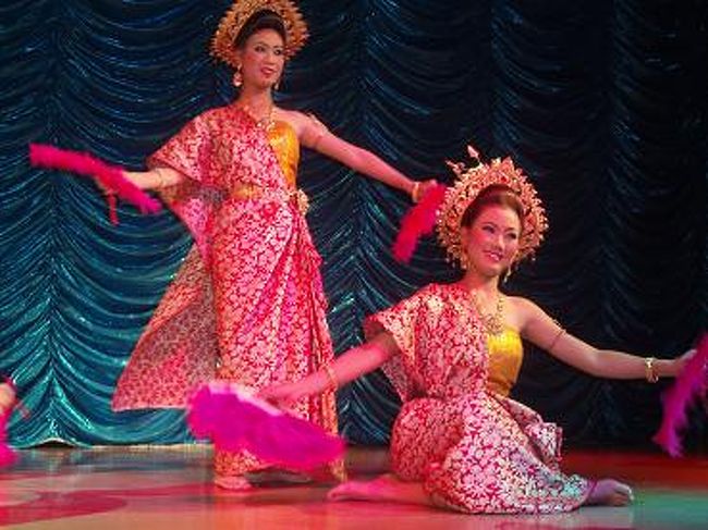 たまたま、私が一番前に席に座ることができて、<br />ショーが良く見れて良かったんだけど、<br />こういうショーの時、必ず舞台に近い席の人が舞台に連れてかれるのよね〜(^_^;)<br />やっぱり、私が舞台連れてかれて、他の方達と踊ったよ〜(T_T)<br />恥ずかしい！！