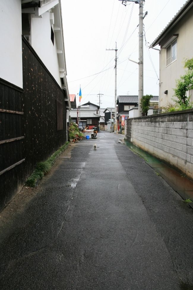 島についてすぐバスに乗って「農協前」に下車。<br /><br />たばこ屋さんで家プロジェクトのチケットを買って<br />さっそく本村地区を散策開始☆<br /><br />ん･･･！あっちからもの影が･･･。