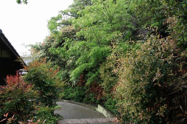 懐中電灯を返して<br />次の目的地へ！次は「南寺」です。<br /><br />山を下る！