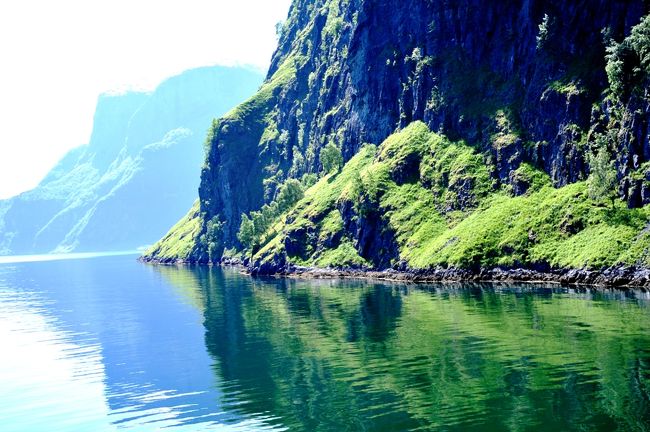 日の当たる前方