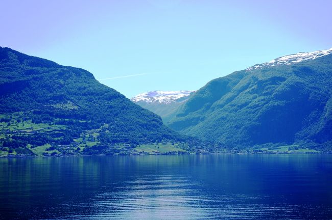 日陰とうことは東方面ですね
