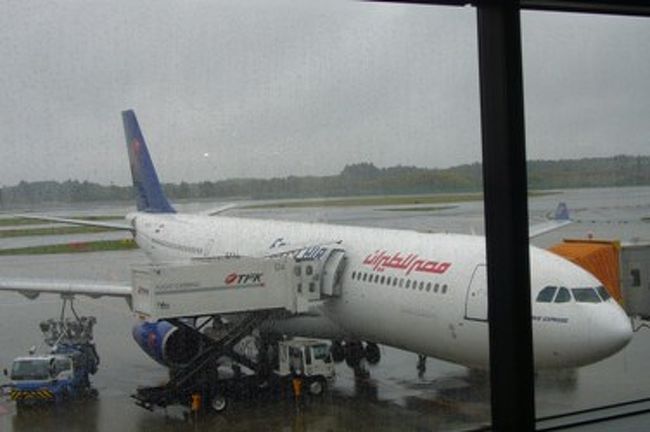 残念ながら、この日の天気は雨。<br />このエジプト航空機にて、エジプトを目指します。<br />１４時間ほどの長い旅です。<br />そんなに大きい飛行機ではないので、席の並びは２−４−２でした。<br /><br />そうそう、エジプト航空はスターアライアンスに加盟しているのでＡＮＡマイルをつける事ができます。チェックイン時にＡＮＡマイルをつけてもらうのをすっかり忘れてしまった私達・・・。搭乗口のカウンターの人にお願いしたら、つけてもらう事ができました。良かったー。