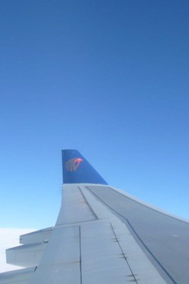 もちろん飛行機にもホルスのマークが。<br />行きも帰りも羽のところの座席で、地上の景色がきちんと見れず残念でしたが、このホルスが見れたので良しとします。