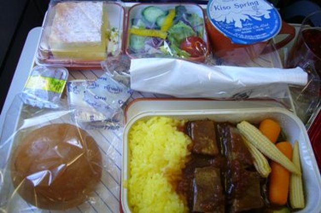 機内食。<br />何だったか忘れてしまったけど、ビーフシチューだったかな？