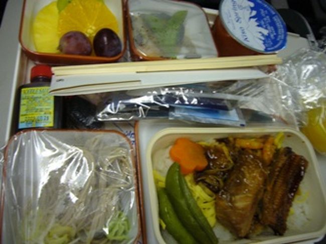 こちらは夫が頼んだ機内食。