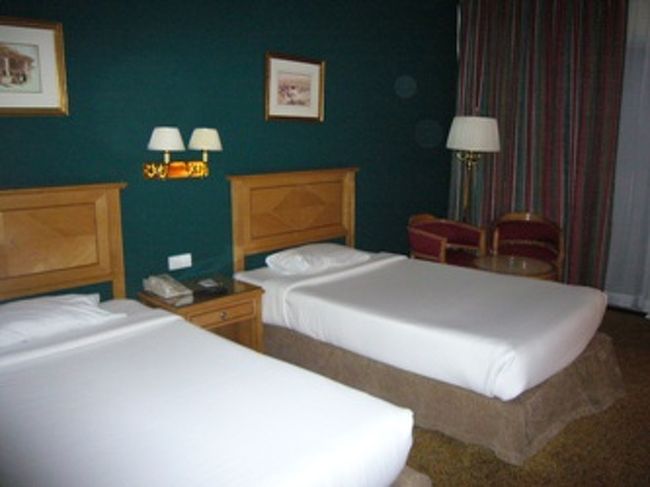 現地時間の深夜１時過ぎにようやくホテルの部屋に入る事ができました。<br />泊まったホテルは、「AMARANTE PYRAMIDS（アマランテ　ピラミッズ）」。<br />深夜２時過ぎ、ようやく寝ようかな〜、と思ったら！<br />顔を蚊に刺されてしまいました〜。よりによって顔って！早速、エジプトにやられた気分・・・。<br />必要ないかと思っていたかゆみ止めが早速役立ちました。結局、蚊が気になって気になって！朝までほとんど眠れませんでした・・・。