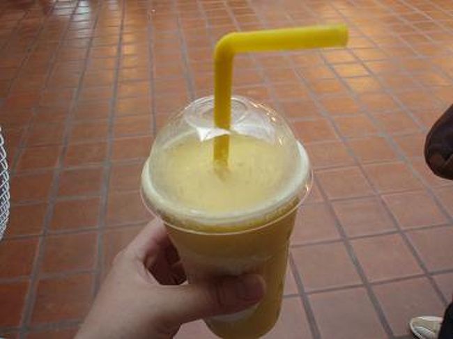 汗ダラダラで見物してきました（*ｘ＿ｘ）<br />入り口の売店で、ジュース売り場があり、<br />フルーツをその場でミキサーにかけ、ジュースにしてました。<br />試食で、いろいろフルーツ食べさせて貰い、<br />マンゴージュース頼んでみました♪<br />フレッシュで美味しい〜♪<br />けど、繊維がちょっとあるのが気になるかも・・・