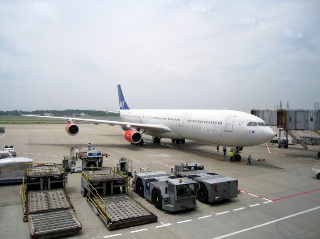 ずっと荷物を積んだり、掃除の人が入って行ったりするところを見てたけど、とてもきびきびしてスピーディでした。