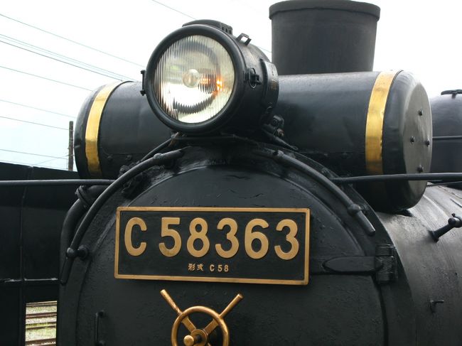 いっかんページ 秩父鉄道 SLパレオエキスプレス C58363 （8/3撮影） 2017/8