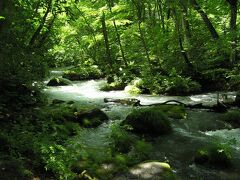 【阿修羅の流れ付近】
大自然に感動しながら緑濃き渓流を進んでいく。