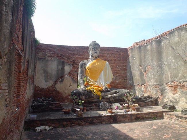 どことなく、寂しそうです。