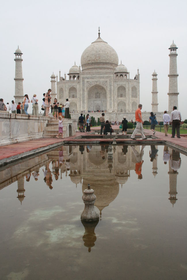 だってこれだよ！！！？