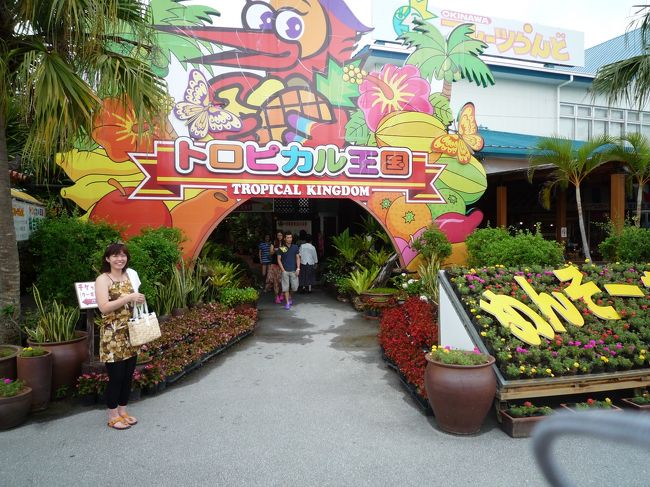 名護のフルーツランド。<br />