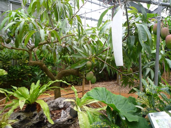 ここも歩いてみてまわります。<br />