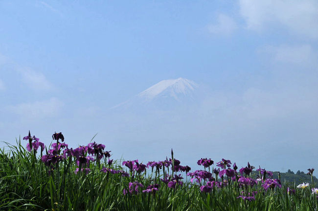 うっすらと見えた富士山です