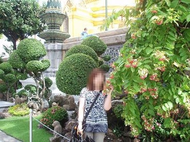 綺麗なお花が咲いてたので♪