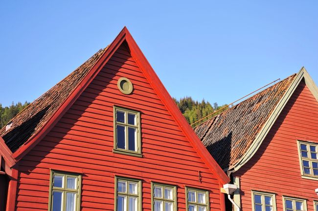 屋根も木造です。