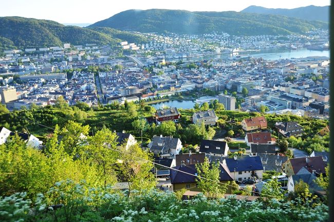 中腹からの景色です。