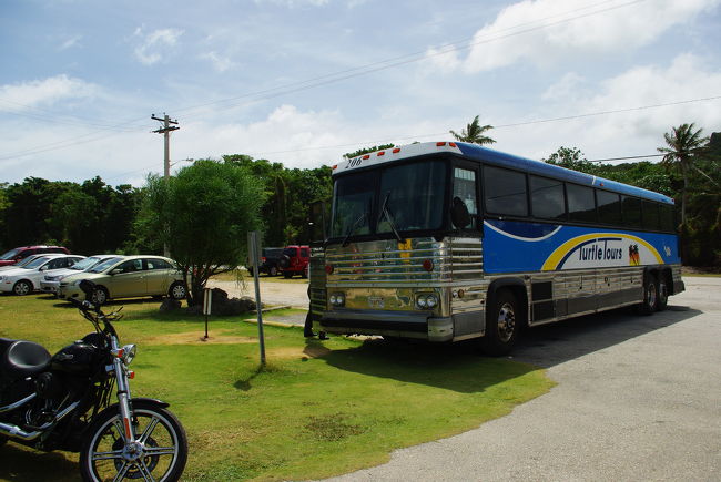 タートルツアーズのバス。ツアーを予約しておくと、このバスがホテルまで迎えに来てくれます。