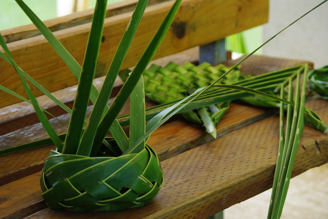 ジャングルから採ってきた葉っぱで、その場で船長がこんなのも作ってくれます。<br /><br />じゃんけん大会で勝った人は、もらえます。コレ。