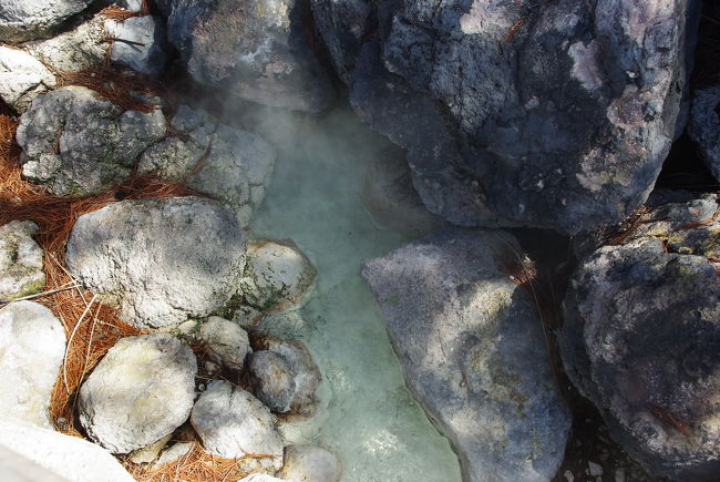 ところどころ温泉も噴出しています。