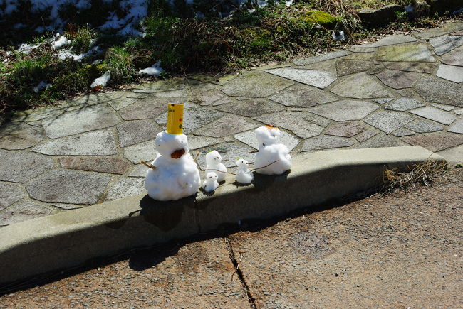 3月の雪は、子供たちも物珍しかったようです。