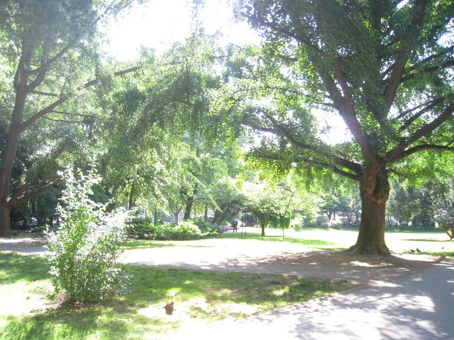 地元民が集まる公園のベンチで、皆で朝食。だんだん頭もさえて来て、観光の計画を練る。