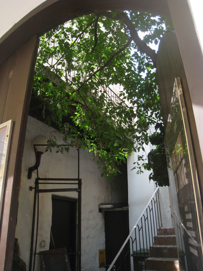 せっかくだから、紙爆弾が発射されたロトルシュチック塔に登ってみよう♪という事に。