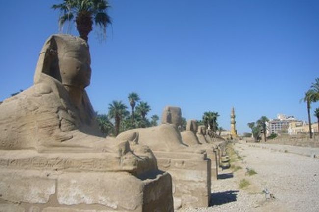 このスフィンクス参道は、カルナック神殿へとつながっていたそうです。