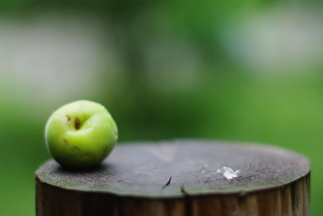 5月28日、数理科学研究棟前。<br /><br />ポールの上に、梅の実一つ。<br /><br />誰のいたずらかな？