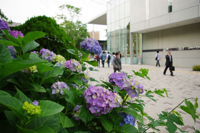 6月4日、生協前。<br /><br />駒場で最も賑わう場所のそば、学生たちが行き交う傍らで。