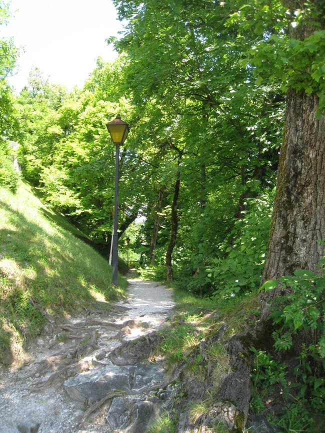 島散歩一周目。。