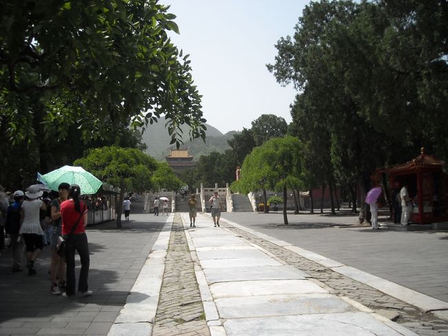 ANAの機内食はほとんど食べなかった。<br />3時間で映画もないし。ちょっと機材がしょぼかったので、写真なし。<br />空港も新型インフルのチェックが厳しいのにびっくり。<br />その後のANAのお迎えもハローツアーとは別でまるで個人で運転手、案内人を従えているので、少しびびっていたので、写真なし。<br />やっと一つ目の世界遺産明の十三陵にてパチリ。<br />