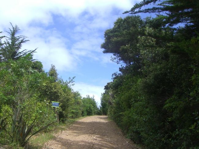 あてもなく歩いているとトレッキング用？<br />バードウォッチング用？市民の近道用？<br />なんだかわからないけど楽しそうな道を発見☆<br />お散歩してみることに！