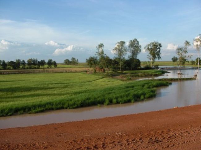 発車30分後の風景<br /><br /><br />＊＊＊＊＊＊＊<br /><br />4時すぎに、やっとバスが発車した。<br />カジノホテルが乱立するポイペトの町中を抜けると<br /><br />この様な風景が車窓いっぱいに広がる。<br /><br /><br />未舗装である。<br /><br /><br />沿線には大量の地雷が埋まっているらしく、<br />バスでトイレを我慢できなくなった外国人観光客が<br />バスを降り、茂みに入ってズボンを下ろすとした瞬間に<br />足を失ったという話を聞いた。<br /><br /><br />それを聞いてから、ポイペトで草むらに立ちション<br />しに行った時、ものすごく怖かった。<br /><br /><br />それにしても揺れる。