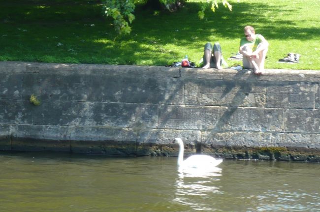 川辺には　休日をのんびり過ごしたり、