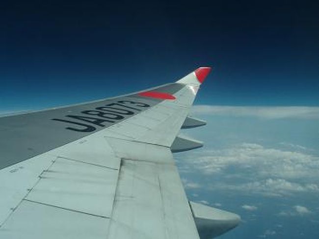 窓際３列シートに座ったら、母と私と<br />アメリカ人の男性と一緒になりました。<br /><br />体が大きめの方で、エコノミーは窮屈そうだったけど、<br />いろいろ話しかけたりしてくれて、楽しい方でした♪<br />バスケのコーチの方らしく、世界をあちこち回っているのだとか。<br />英語分からないけど、身振り手振りでなんとか会話しました(笑)<br />