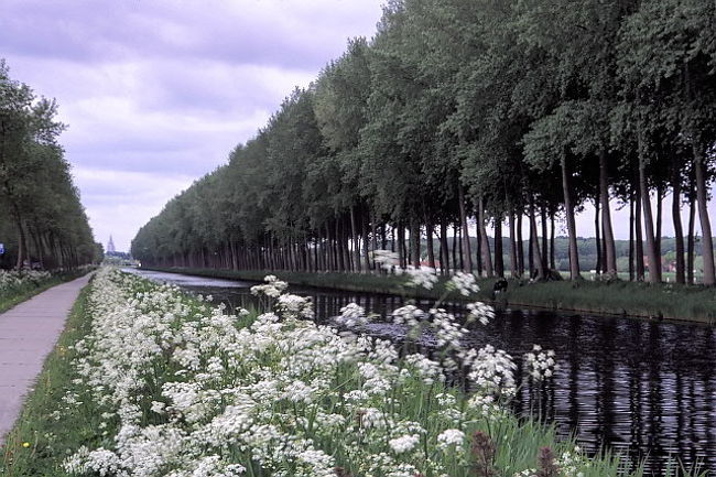 ブリュージュの外港として築かれた小さな町、ダム。